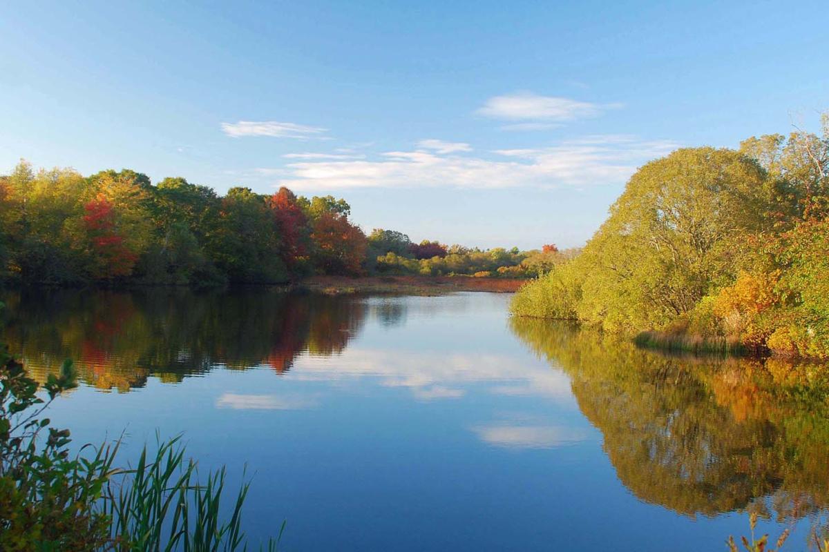 Autumn at the Mill Pond by Charlie Kernick